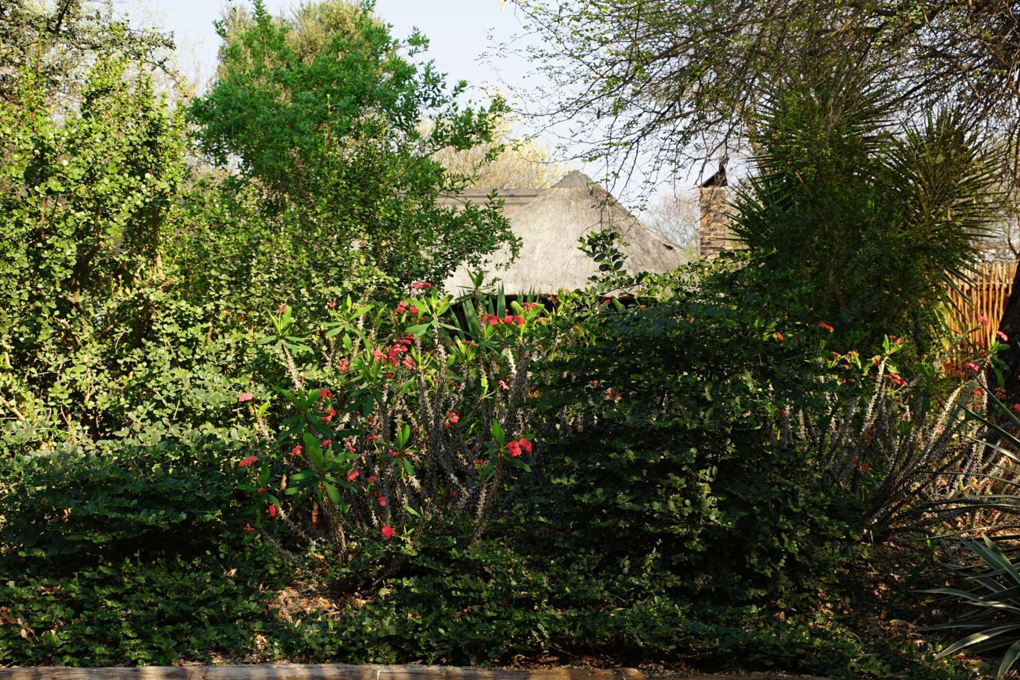 Kwele Game Lodge Beauty Kültér fotó